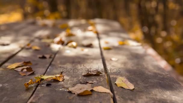 Feuilles jaunes sur la table dans le parc d'automne — Video