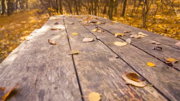 Krásné prázdné dřevěný stůl v podzimní park — Stock video