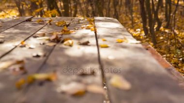 Eski ahşap masa ve tezgah sarı yaprakları ile kaplıdır. Ham video kayıt