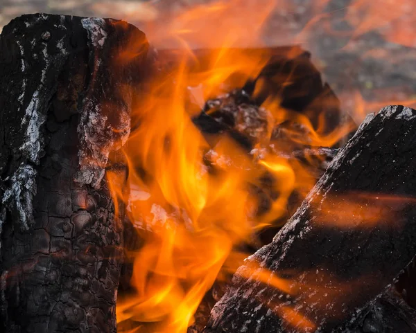 Baumstamm brennt auf offenem Feuer Stockbild