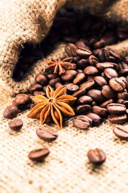 Kahve çekirdekleri anason ile çanta