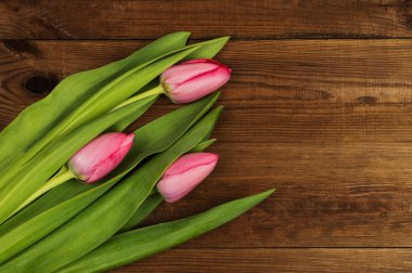 Ahşap arka plan üzerinde Pembe Lale. Anneler günü. Bahar çiçekleri