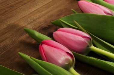 Ahşap arka plan üzerinde Pembe Lale. Anneler günü. Bahar çiçekleri