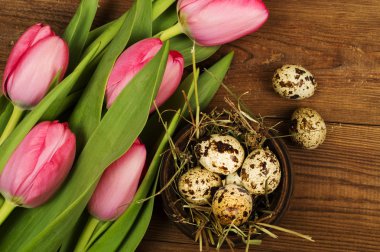 Tavuk ve Bıldırcın yumurta Lale ile. Paskalya arka plan