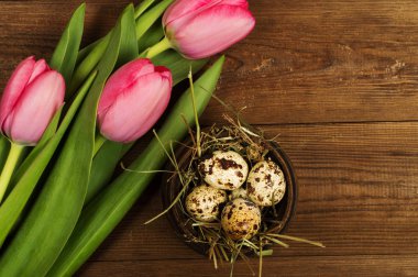 Tavuk ve Bıldırcın yumurta Lale ile. Paskalya arka plan
