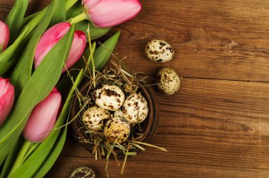 Tavuk ve Bıldırcın yumurta Lale ile. Paskalya arka plan