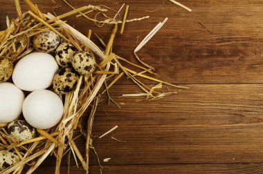 Tavuk ve Bıldırcın yumurta üzerinde ahşap masa. Paskalya arka plan