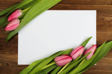 Pembe Laleler ve beyaz kağıt. Anneler günü. Bahar çiçekleri