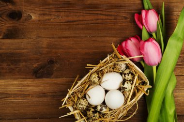 Tavuk ve Bıldırcın yumurta Lale ile. Paskalya arka plan