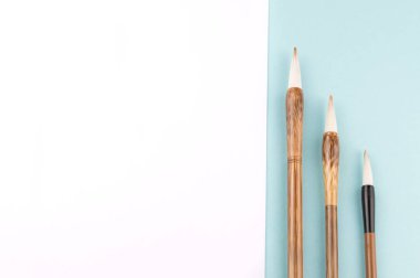 Çin Kaligrafi fırçası geleneksel yazmak için. Üstten Görünüm