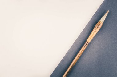 Çin Kaligrafi fırçası geleneksel yazmak için. Üstten Görünüm