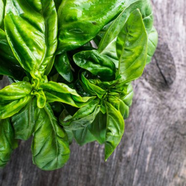 Yeşil taze organik bazilika ahşap masa üzerinde. Rustik tarzı. kare