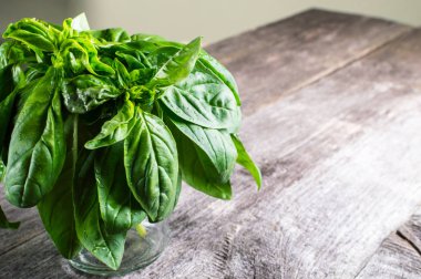 Yeşil taze organik bazilika ahşap masa üzerinde. Rustik tarzı