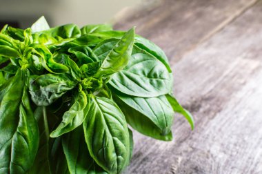 Yeşil taze organik bazilika ahşap masa üzerinde. Rustik tarzı