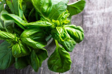 Yeşil taze organik bazilika ahşap masa üzerinde. Rustik tarzı