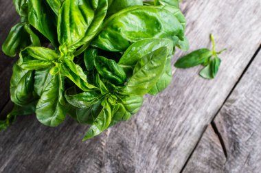 Yeşil taze organik bazilika ahşap masa üzerinde. Rustik tarzı