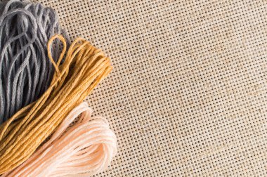 Hobiler için aksesuarlar: iplik nakışı için farklı renkler