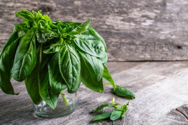 Yeşil taze organik bazilika ahşap masa üzerinde. Rustik tarzı