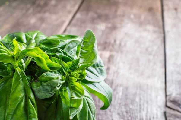 Yeşil taze organik bazilika ahşap masa üzerinde. Rustik tarzı