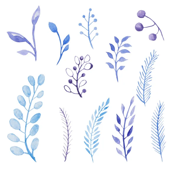 Blaue Blätter gesetzt. Aquarell mit Zweig und Blatt. für Design, Druck oder Hintergrund — Stockfoto