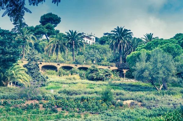 Mavi gökyüzüne karşı palmiye ağaçlarının tropikal arkaplanı