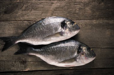 Taze balık dorado ahşap masa üzerinde. Kopya alanı ile Üstten Görünüm
