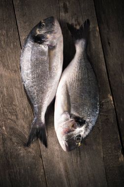 Taze balık dorado ahşap masa üzerinde. Kopya alanı ile Üstten Görünüm