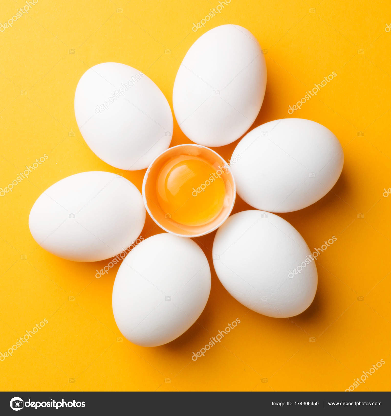 ägg protein vita gula ägg protein vita gula