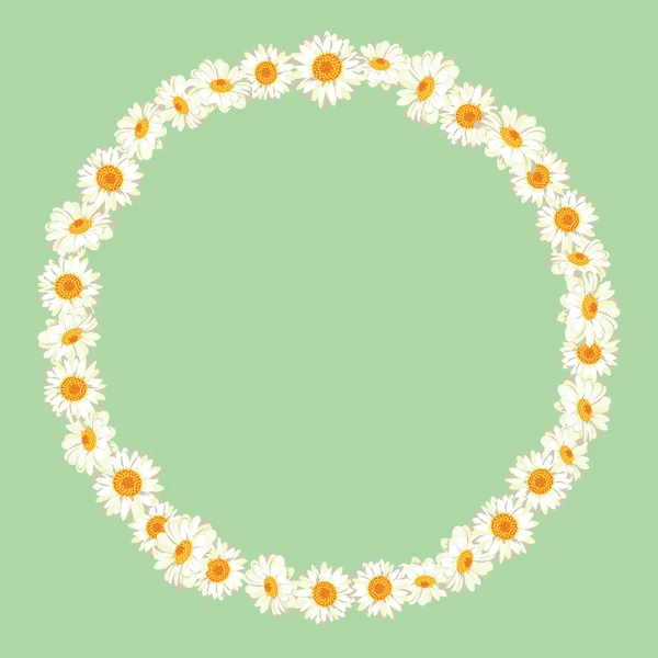 Chamomile pattern on green background. Daisy chain. Round frame for your text or photo. — Stock Vector