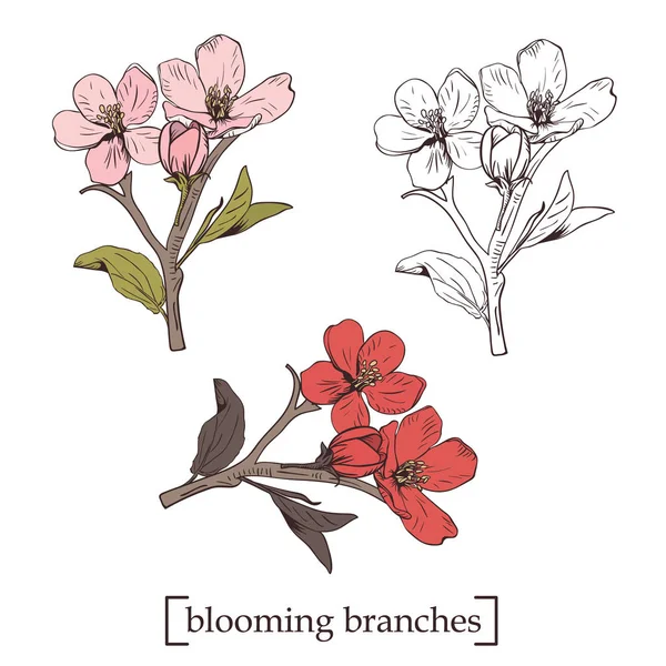 Bloeiende boom. Collectie instellen Hand getekend botanische bloesem takken op witte achtergrond. Vectorillustratie — Stockvector