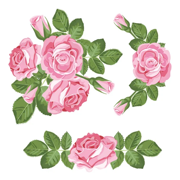 Ställ in samling av rosa rosor med blad isolerad på vit bakgrund. Vektorillustration — Stock vektor