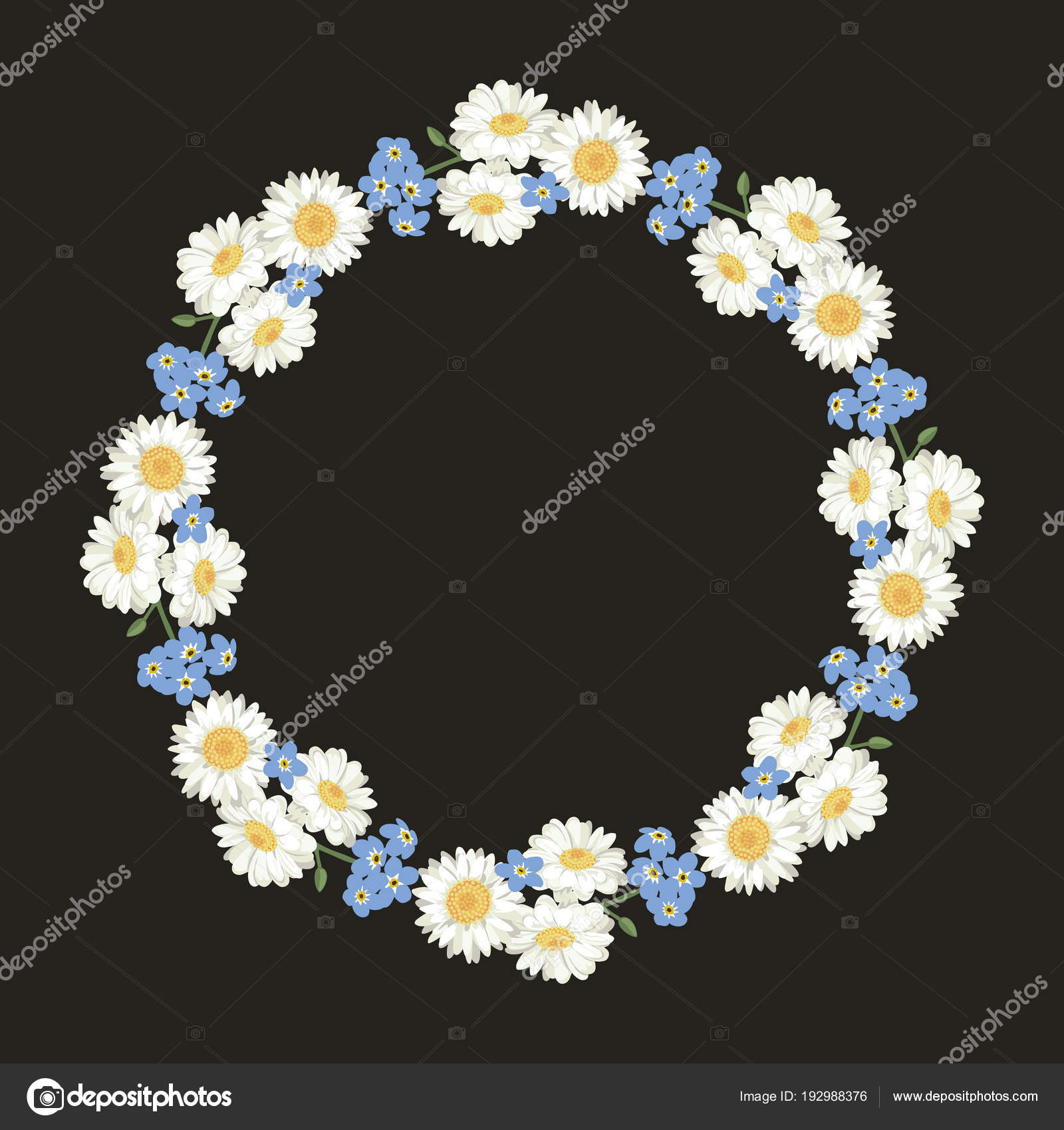 Camomille Et Oublier Le Dessin Moi Non Fleurs Sur Fond Noir