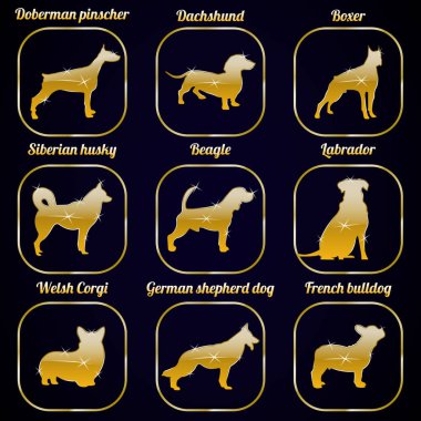 Altın parlak köpekler Icons set. Parlak köpek Icons set. Köpek doğurmak seti. 