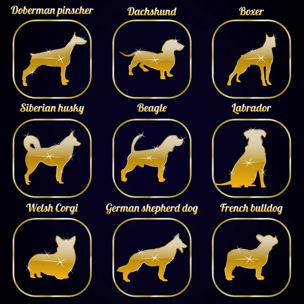 Altın parlak köpekler Icons set. Parlak köpek Icons set. Köpek doğurmak seti. 