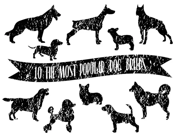 Köpek ırkları ayarlayın. Köpekler simgeler. Köpek doğurmak siluet. Buruşuk kağıt etkisi ile en popüler köpek ırkları.