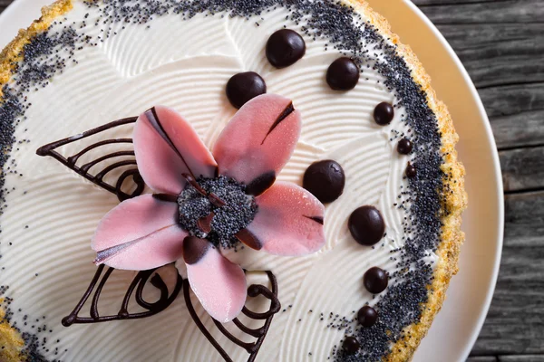 Pan di Spagna decorato con gocce di cioccolato e zucchero a velo — Foto Stock