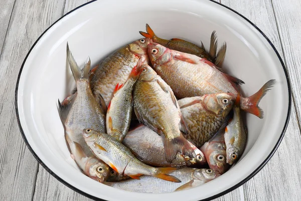 Tigela com peixe fresco cru misturado — Fotografia de Stock