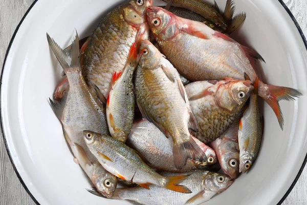 Tigela com peixe fresco cru misturado — Fotografia de Stock