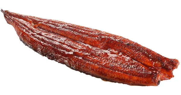 Grilled eel isolated on white background — Stock Photo, Image