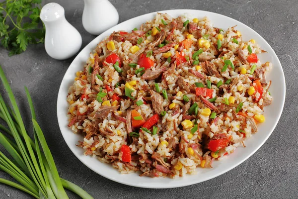 Geschreddertes saftiges Rindfleisch, Reis, Gemüse auf Teller — Stockfoto