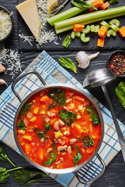 Feijão borlotti espinafre de tomate Sopa, vista superior — Fotografia de Stock