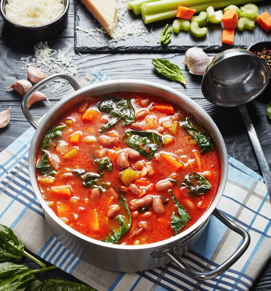 Sopa de feijão borlotti toscana em uma panela — Fotografia de Stock