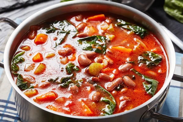 Borlotti beans tomato spinach Soup, top view — Stock Image Borlotti beans tomato spinach Soup, top view Royalty Free Stock Images