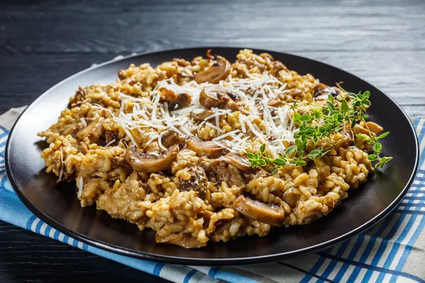 Wilde paddestoelen Romige risotto op een bord — Stockfoto