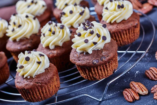 Chocolate cupcakes on a metal rack, close-up — 스톡 사진