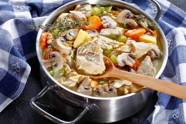 Primo piano di speziato stufato di pollo cotto lento — Foto Stock