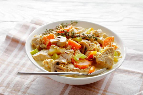 Chicken stew with vegetables and creamy sauce — 스톡 사진