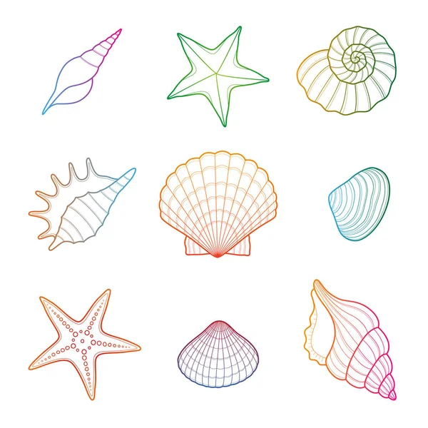 Conchas y estrellas de mar — Vector de stock