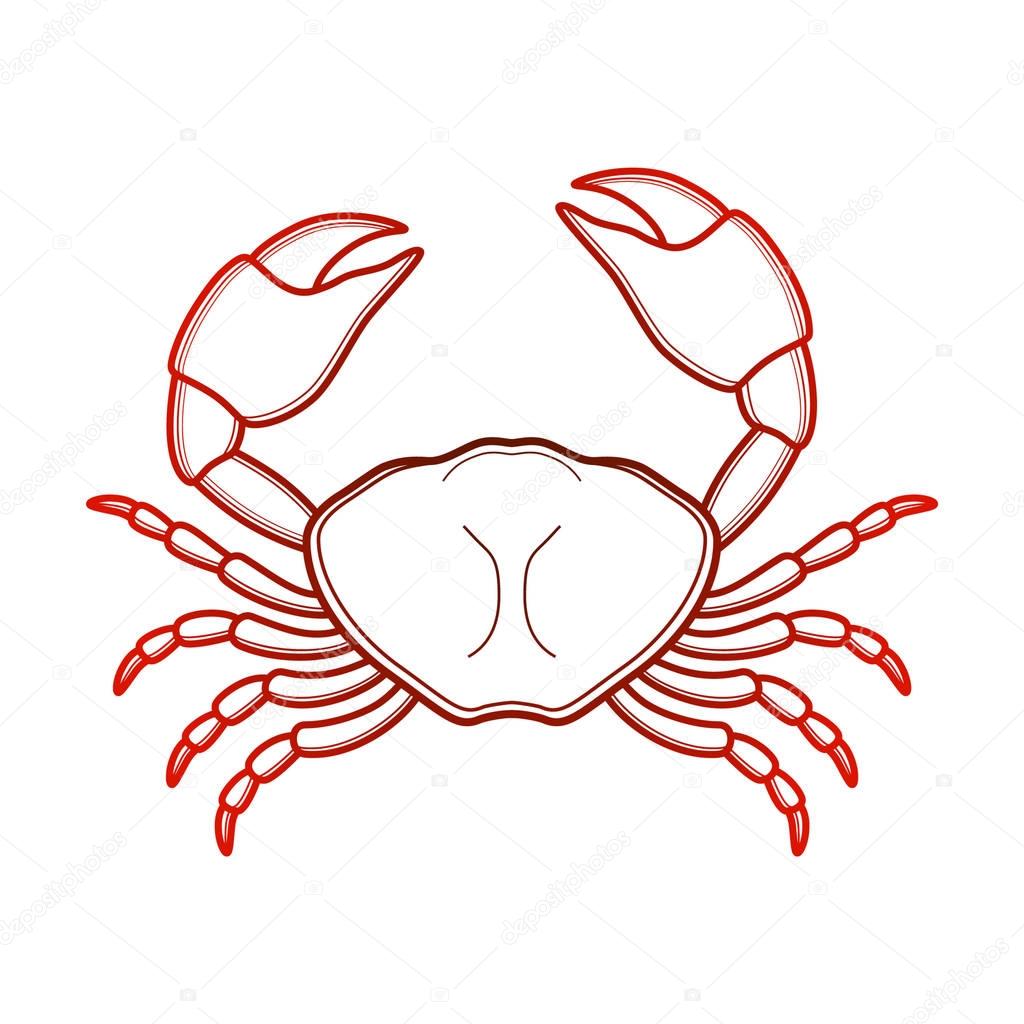 Crab logo isolated