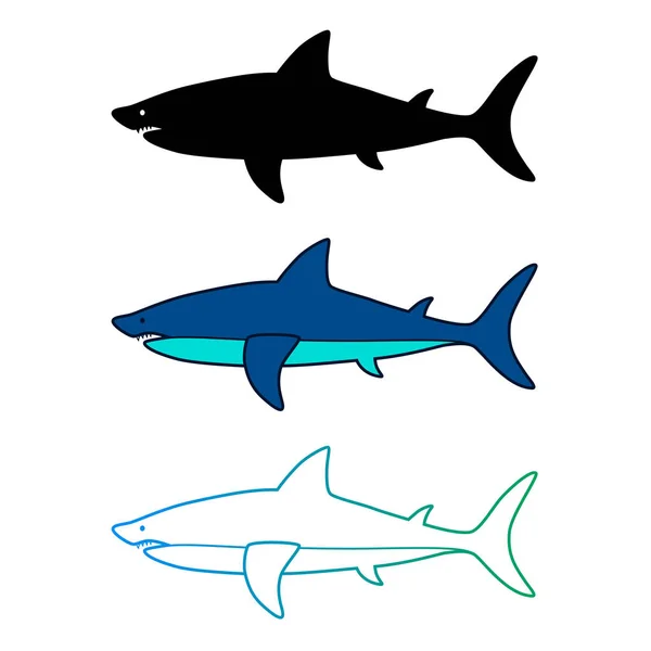 beyaz izole köpek balığı